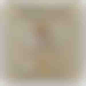 A lányomnak - 14K fehér arany nyaklánc cirkónia kristályokkal LILLIA