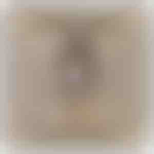 A lányomnak - 14K fehér arany nyaklánc cirkónia kristályokkal LEONA