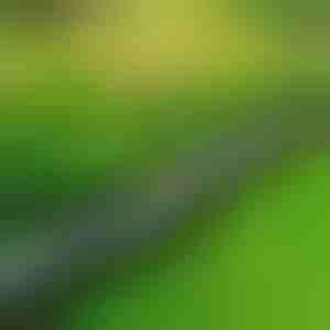 Kőhatású kerti szegély (10 db) | MINIFENCE