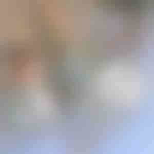 Szúnyogháló javítószalag | INSECTAPE