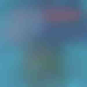 Gyorsan száradó fürdőnadrág | TOGGIES