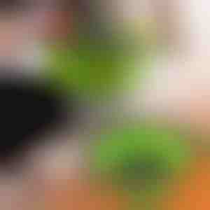 Szilikon szűrők (2 darab) | FOLDRAIN