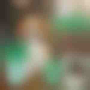 Kutyamancs tisztító pohár | PAWSANI