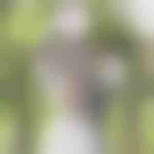 Lilaakác műinda | WISBLOOM