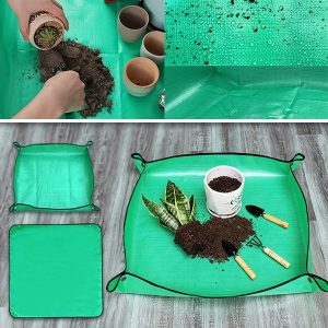 Szőnyeg növények átültetésének  | FLORAMAT