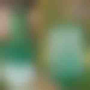 Újrahasználható függő légycsapda kertbe, teraszra és erkélyre | INSECTA