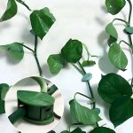 LEAFCLIP