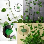 LEAFCLIP