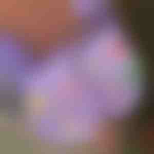 Karácsonyi világító figurák cipőkre (7db) | SHINETAGS