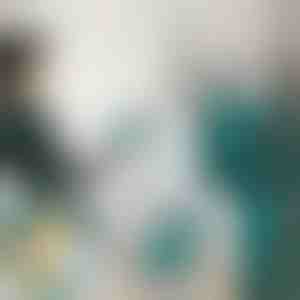 Mini gőzölő vasaló | FERROLITE