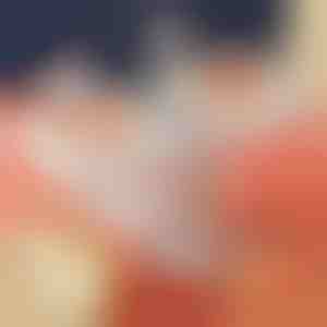 Tésztagép | DUMPLINGPRO