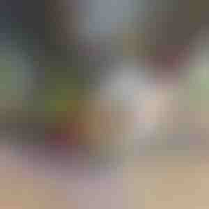 12 az 1-ben zöldségaprító és szeletelő (7 penge mellékelve) | CHOPMASTER