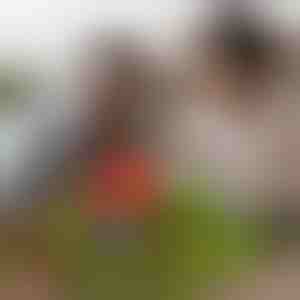 Mágneses minikockák (48 db) | MAGCRAFTI