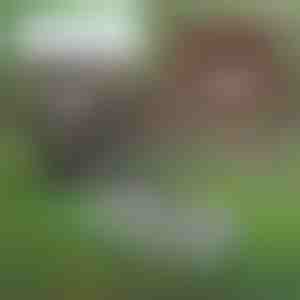 Sokoldalú kerti eszköz talajkarbantartáshoz | PRONGSPRO