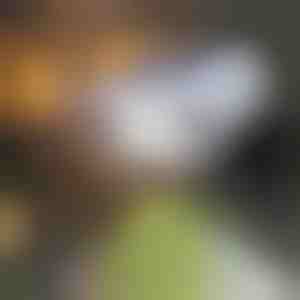 Mozgásérzékelős napelemes lámpa | LUMACAM