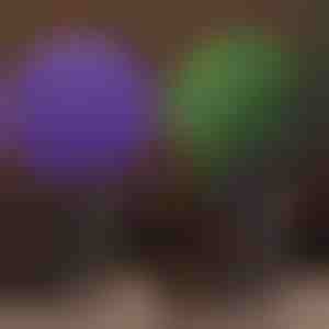 Dekoratív növényi gömb | TOPIORB