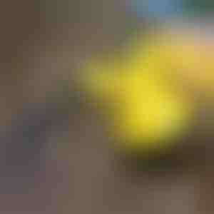 Fertőtlenítő gőztisztító | VAPERO