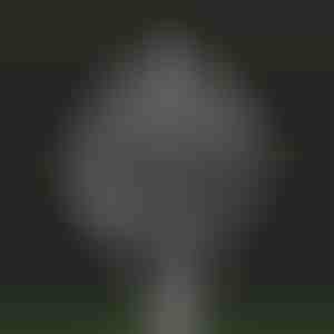 Kerti varázslatos kinetikus szélforgó | WINDARA