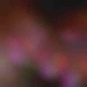 Napelemes kerti viráglámpák | BLOSSUN