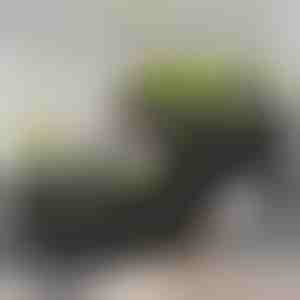 Növény termesztő doboz | BOTANITKO