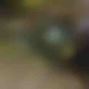 Összecsukható talicska | TROLLYFOLD