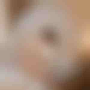 Szúnyogvédő alvósátor, amely megóv a rovaroktól | BUGISTOP