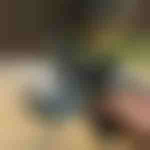 Azonnali por eltávolító légfúvó | JETRAZE