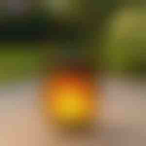 Napelemes lámpások táncoló lánghatással | FLAMLUX