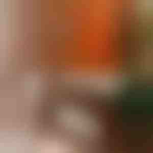 Univerzális bútorápoló | BEEWAX