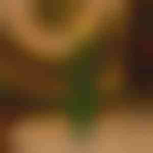 Láng nélküli, pislákoló ünnepi gyertya | CANDLETREE