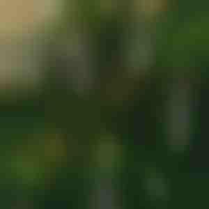 Láng nélküli pislákoló gyertyák (6 db) | CANDLEA