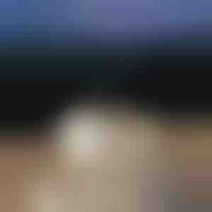 Nyugtató aroma diffúzor | MEDUSAMIST