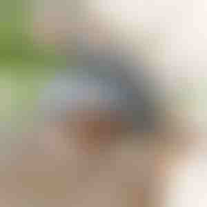 Interaktív csapkodó madárjáték | CHIRRCAT