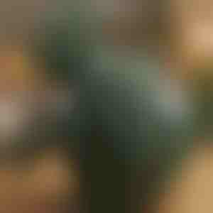 Melegíthető shiatsu masszírozó | MASSORA