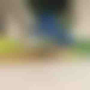 Elektromos gyümölcs- és zöldséghámozó | PEELMATIC